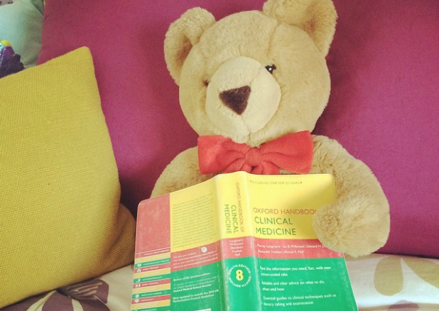Bear studying medicine