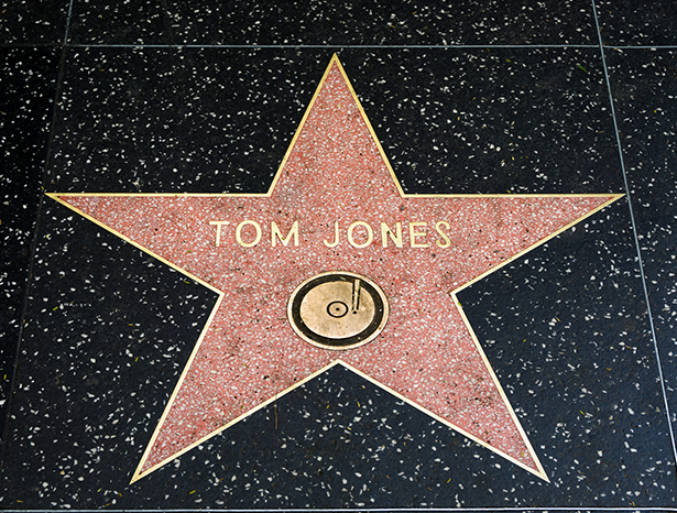 Tom Jones star
