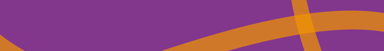 Student Finance England-branded purple strip of colour