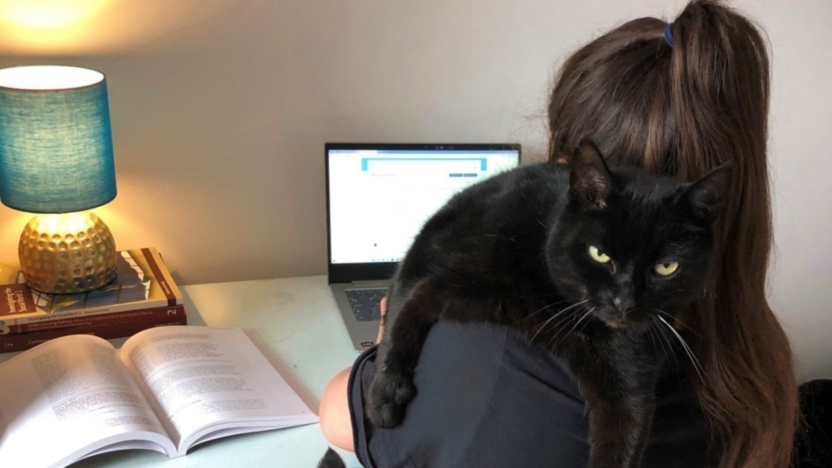 Aliya's cat sits on her shoulder during her study session