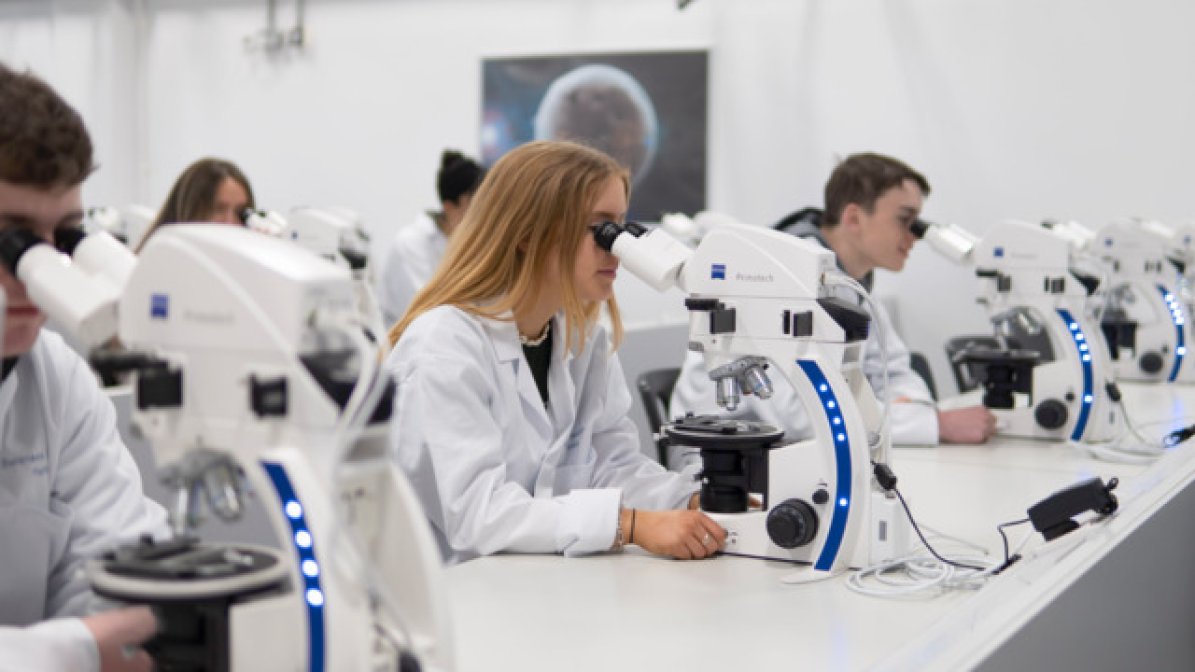 Scientists in laboratory using microscopes