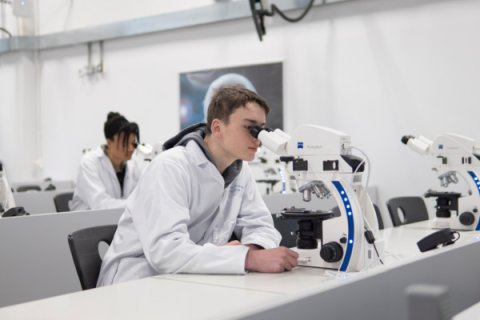 Chemistry apprentice using microscope in lab